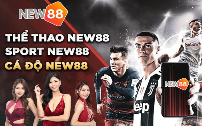 Cá cược thể thao New88