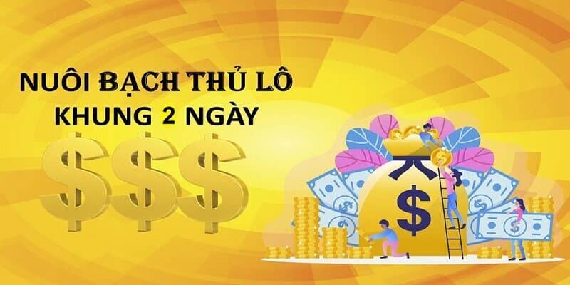 bạch thủ lô nuôi khung