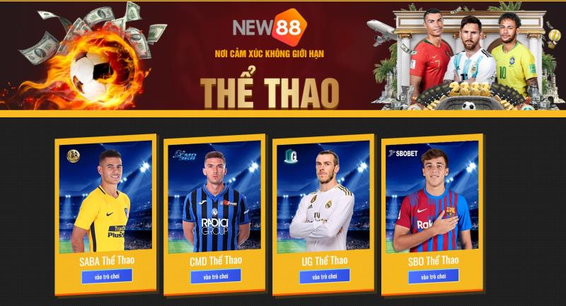 Các-sảnh-chơi-thể-theo-new88