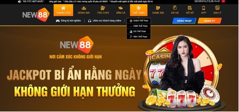 Chuyên-mục-thể-thao-New88