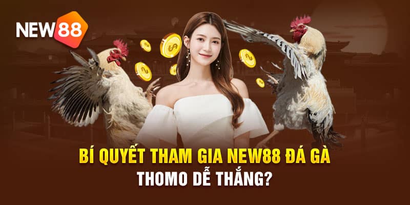 Kinh-nghiệm-đá-gà-new88