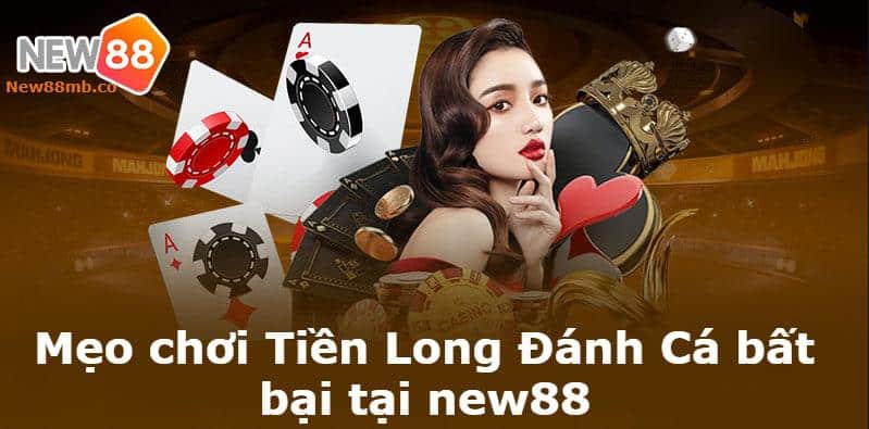 Mẹo chơi Tiền Long Đánh Cá bất bại tại new88