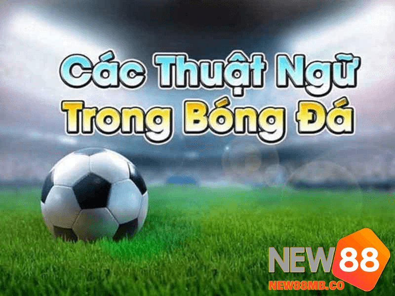 Định nghĩa Thuật ngữ cá độ bóng đá Tại new88