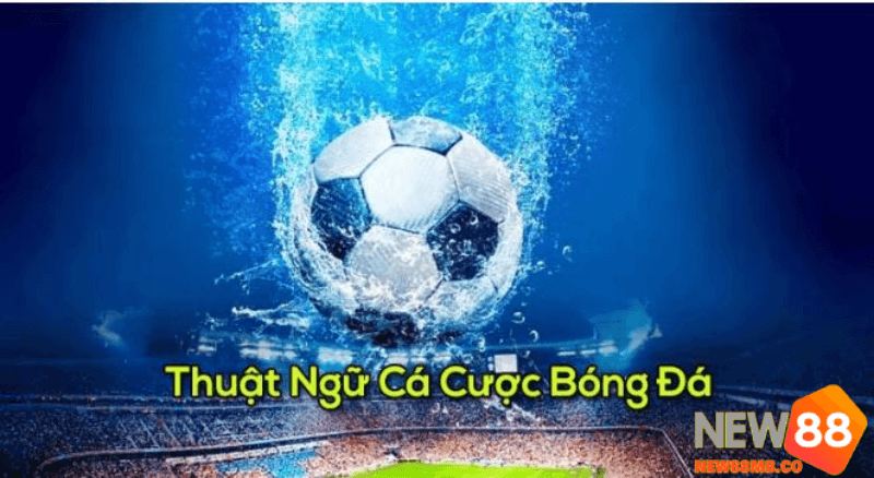 Các loại kèo cá độ bóng đá Tại new88 phổ biến