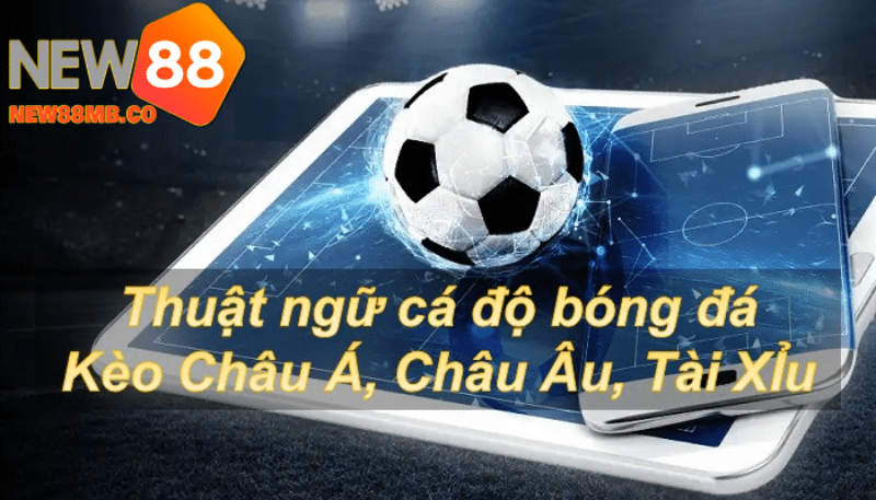 Cách thức đặt cược trong Thuật ngữ cá độ bóng đá Tại new88