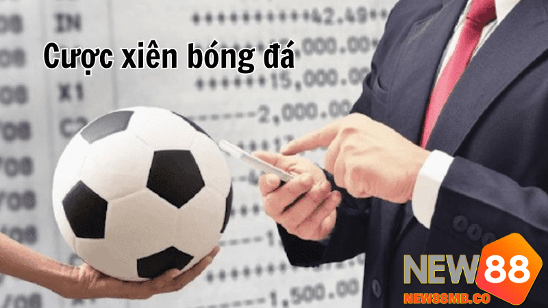 Hướng dẫn cách soi kèo Xiên New88 dễ thắng