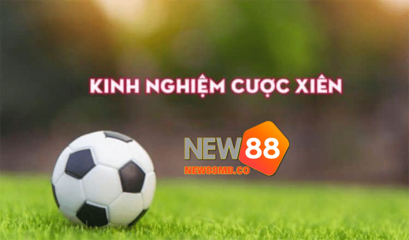 Kinh nghiệm soi kèo Xiên New88 hiệu quả